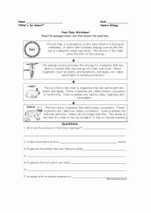 Food Inc Movie Worksheet Answers Inspirational &quot;food Inc &quot; Movie Questions