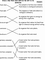 Food Web Worksheet Answer Key Awesome Food Chain Activities Enchantedlearning