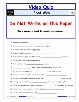 Food Web Worksheet Answer Key Beautiful Differentiated Video Worksheet Quiz &amp; Ans for Bill Nye