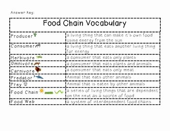 Food Web Worksheet Answer Key Beautiful Science Habitats and Munities Food Chain Vocabulary