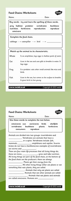 Food Web Worksheet Answer Key Beautiful Worksheets Food Chains Science Pinterest