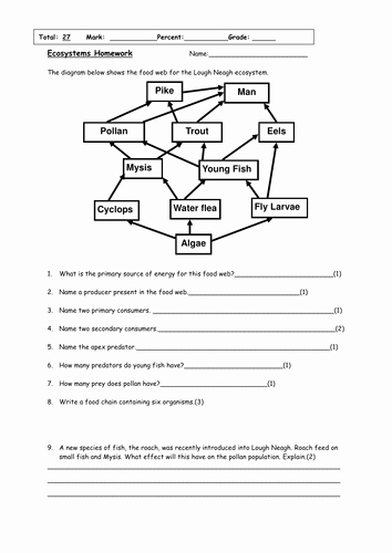 Food Web Worksheet Answer Key Fresh Food Chains &amp; Web Game by Niamhirl Teaching Resources Tes