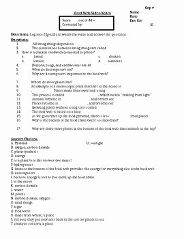 Food Web Worksheet Answer Key Lovely Bill Nye Food Web Video Notes &amp; Answer Key by Behr Biology