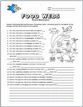Food Web Worksheet Answer Key New Food Webs Review Worksheet Editable by Tangstar