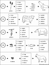 Food Web Worksheet Answer Key Unique Food Chain Activities Enchantedlearning