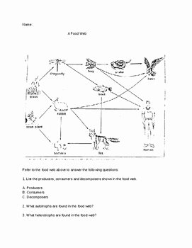 Food Web Worksheet Answers Inspirational Food Web Worksheet by ashley Fotopoulos