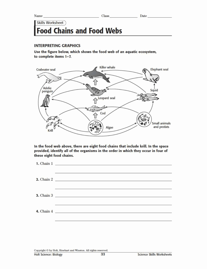 Food Web Worksheet Answers Inspirational Food Webs and Food Chains Worksheet