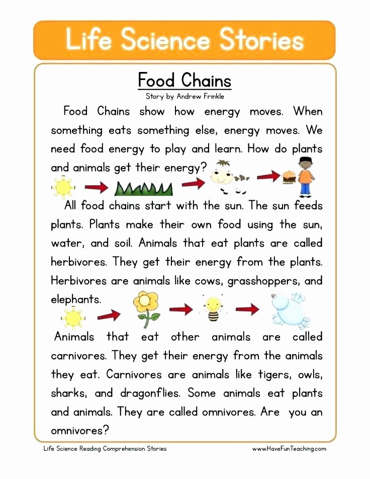 Food Web Worksheet High School Best Of Science Food Chain Worksheets – Dragonglass