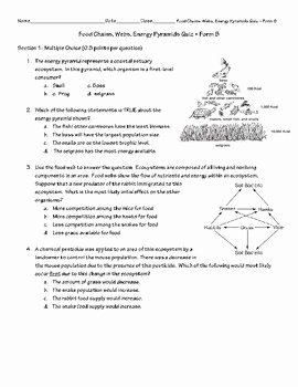 Food Web Worksheet High School Elegant Food Chain Web Energy Pyramid Quiz form B by Patton
