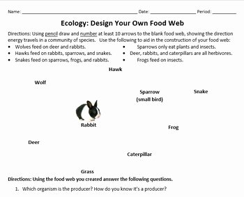 Food Web Worksheet High School Fresh Design A Food Web Worksheet by Beverly Biology