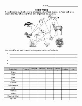 Food Web Worksheet High School Unique forest Food Web Practice Worksheet
