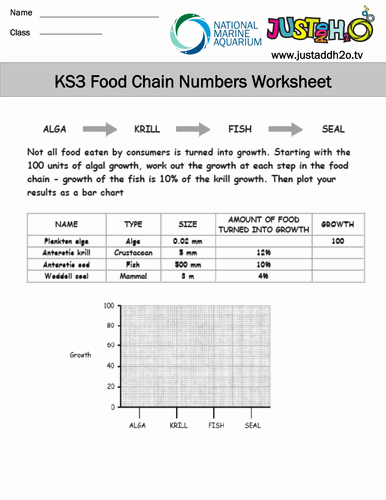 Food Web Worksheet Pdf Inspirational Ks3 Ecosystems and Food Webs by Justaddh20