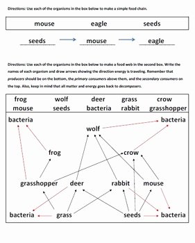 Food Web Worksheet Pdf Lovely Food Web Practice Page by Applelicious
