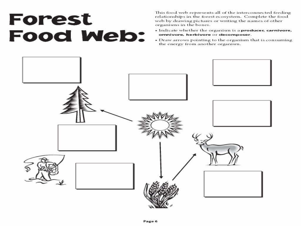 50 Food Worksheet Pdf