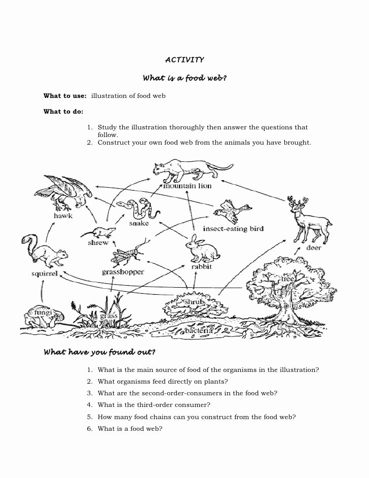 Food Web Worksheet Pdf Unique Food Web Worksheet 6th Grade Sample Lesson Plan In
