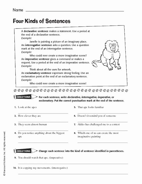 50 Four Types Of Sentences Worksheet