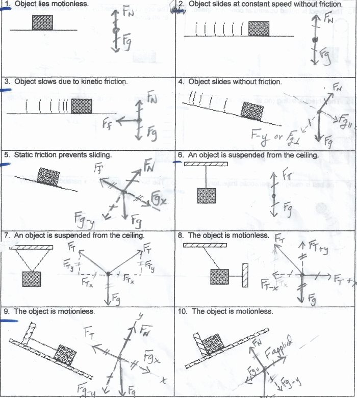 Free Body Diagram Worksheet Answers Best Of Drawing Free Body Diagrams Worksheet the Best Worksheets