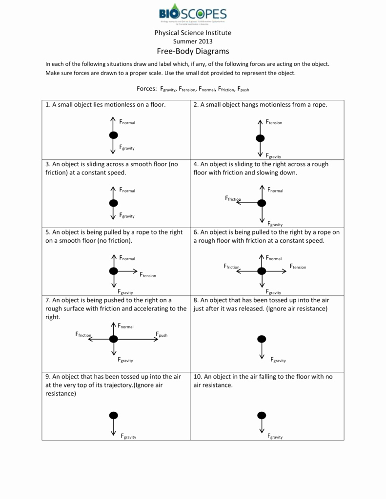 Free Body Diagram Worksheet Answers Unique Free Body Diagrams Worksheet Answer Key