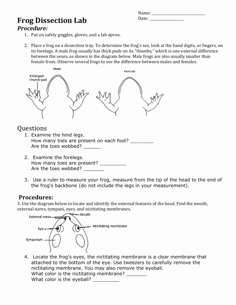 Frog Dissection Pre Lab Worksheet Awesome Frog Dissection Lab