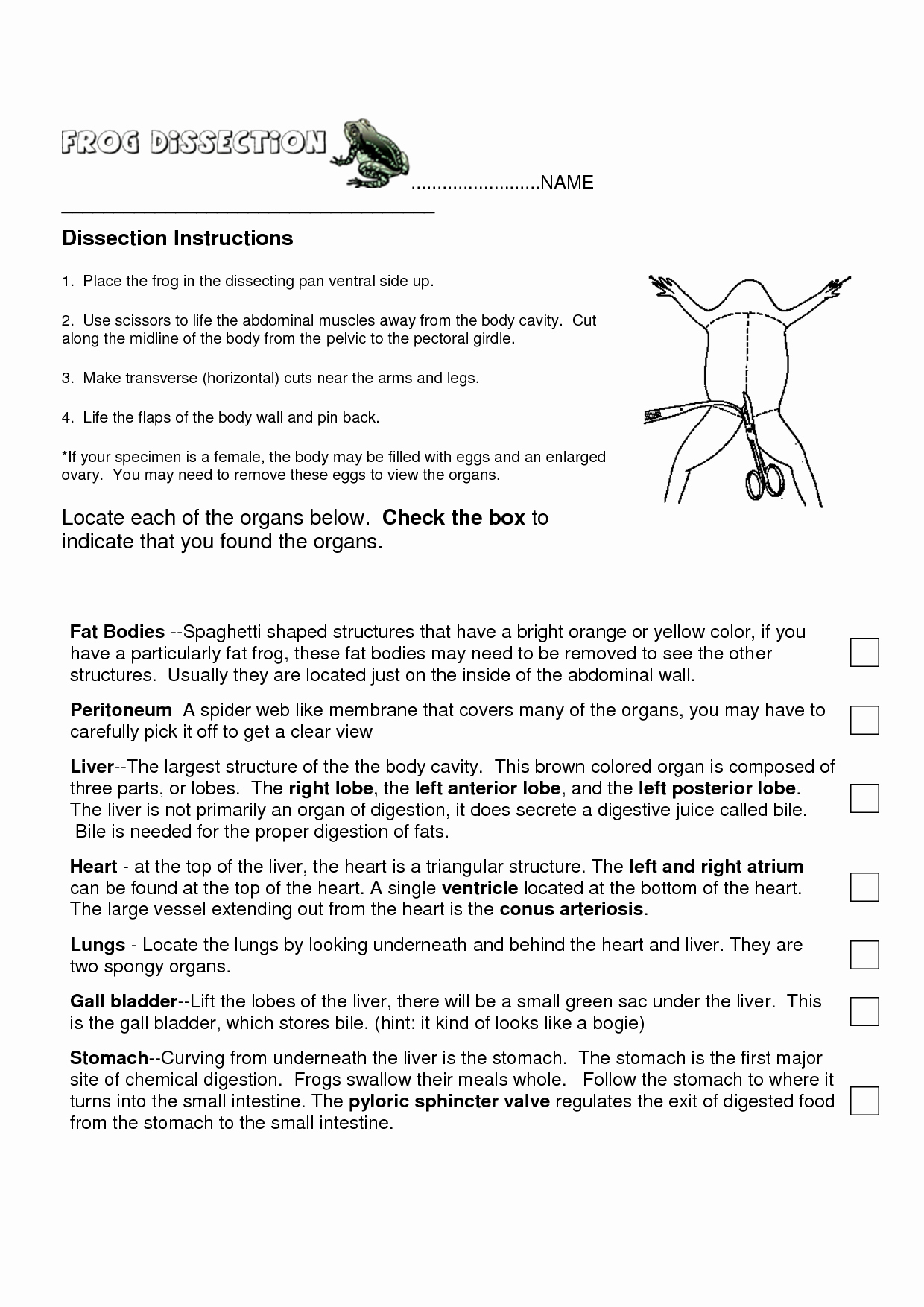 Frog Dissection Pre Lab Worksheet Inspirational 11 Best Of Frog Dissection Worksheet Frog