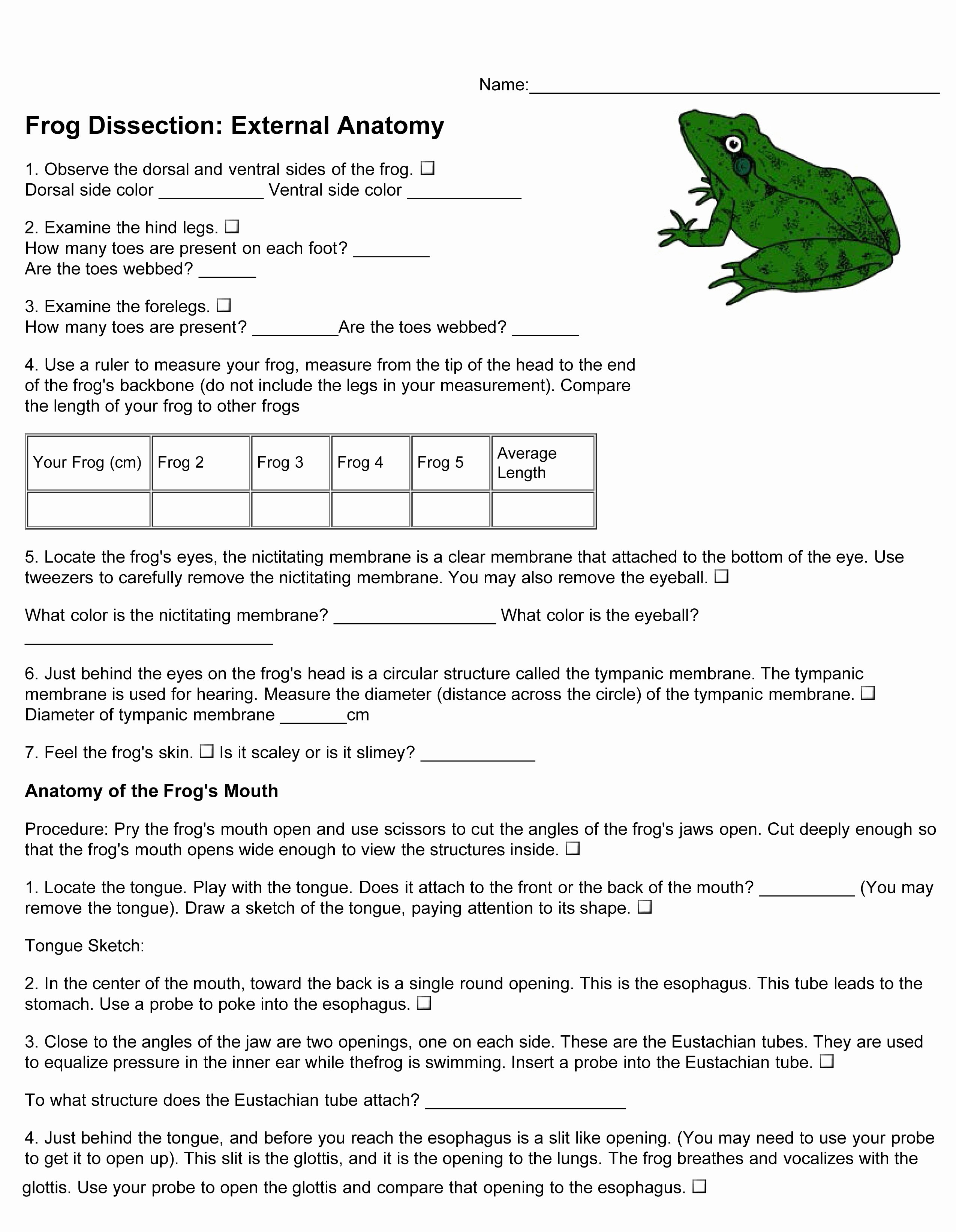 Frog Dissection Pre Lab Worksheet Inspirational Virtual Frog Dissection Worksheet the Best Worksheets