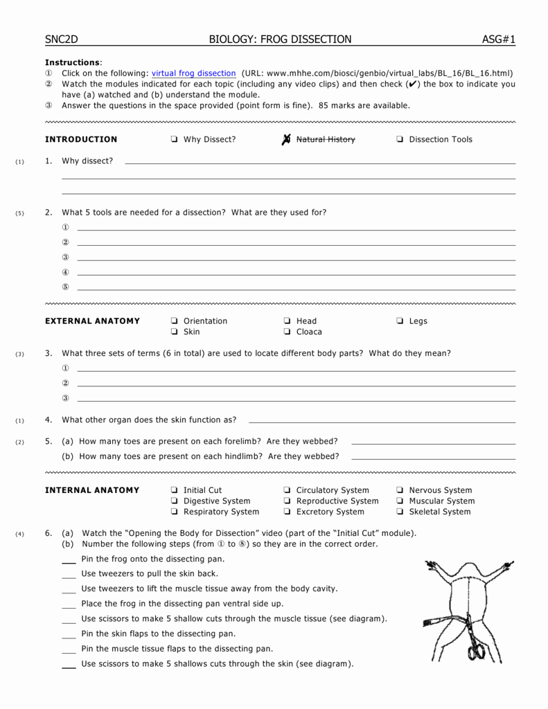 Frog Dissection Pre Lab Worksheet New 2dbiol asg1 Frog Dissection Youngs Wiki