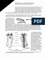 Frog Dissection Worksheet Answer Key Fresh Frog Dissection Answer Worksheet