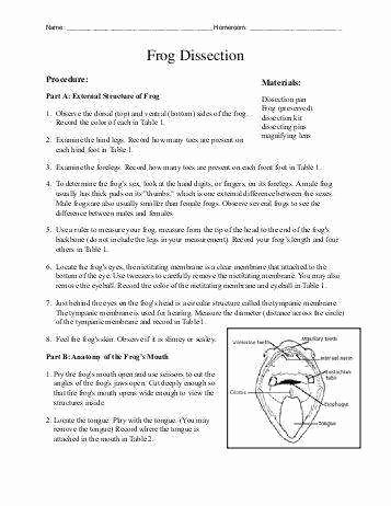 Frog Dissection Worksheet Answer Key Inspirational Frog Dissection Worksheet Answers