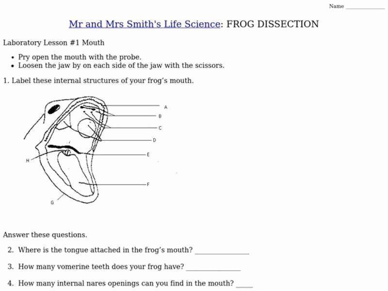 Frog Dissection Worksheet Answer Key Lovely Frog Dissection Worksheet Answers
