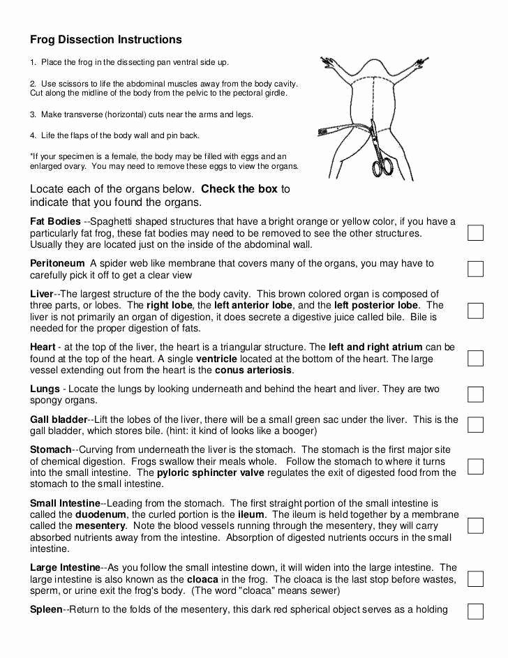 Frog Dissection Worksheet Answer Key New Frog Dissection Worksheet Answers