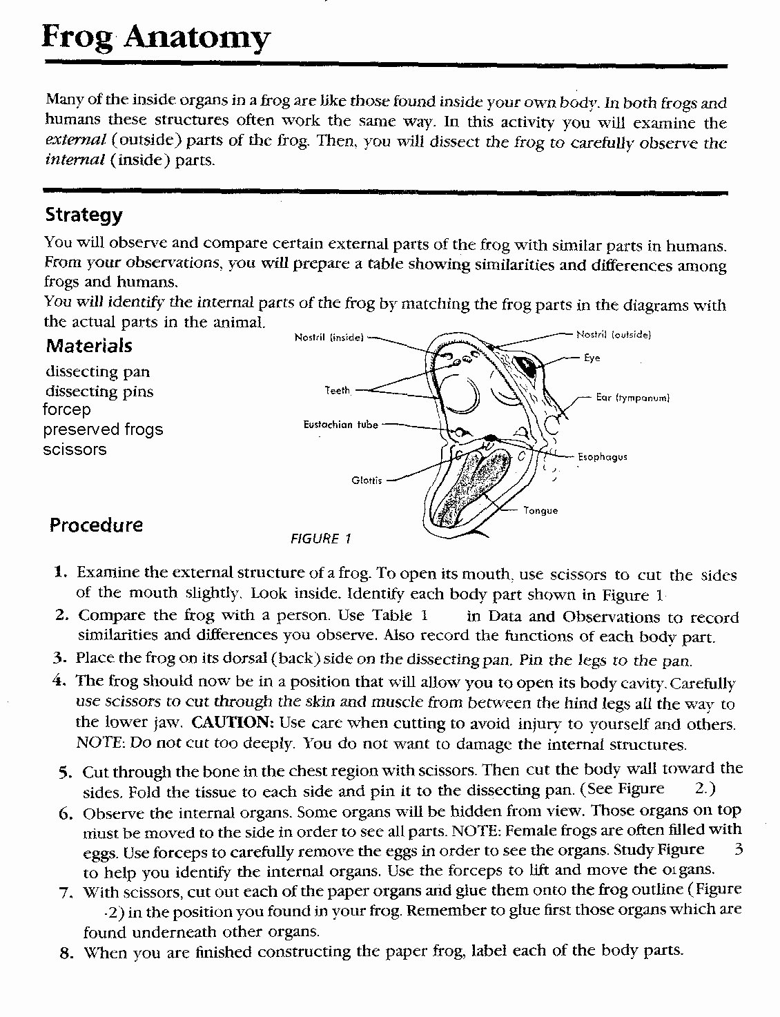 Frog Dissection Lab Worksheet Answer Key Virttwo