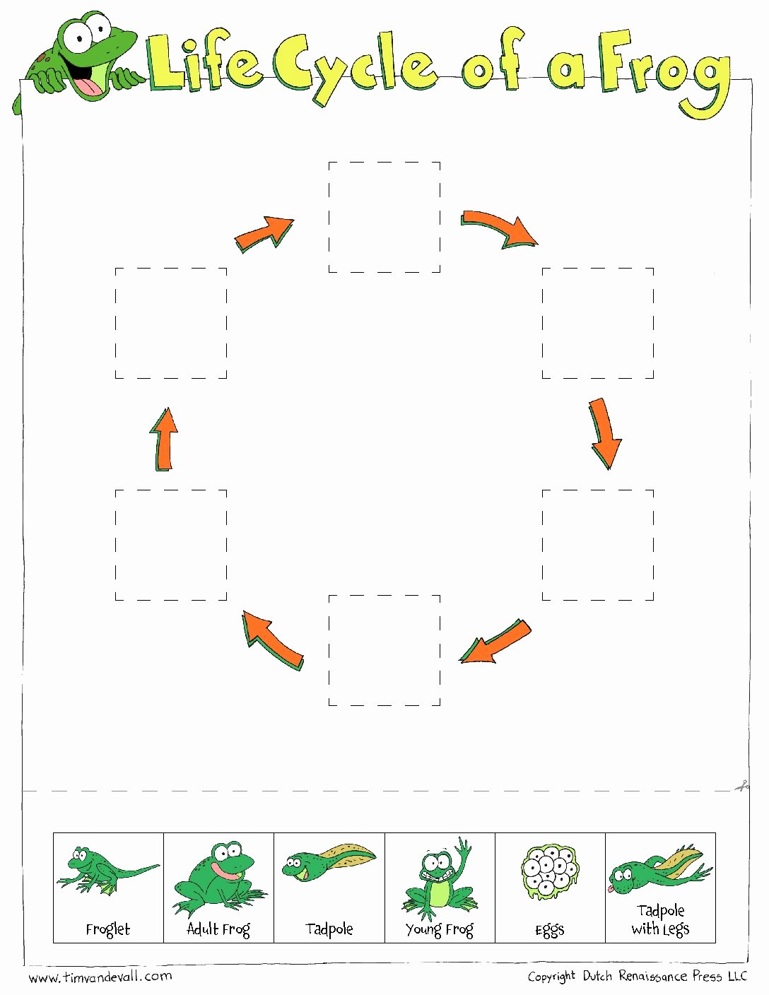 Frogs Life Cycle Worksheet Best Of Frog Life Cycle Cut &amp; Paste Tim S Printables