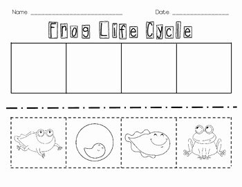 Frogs Life Cycle Worksheet Best Of Frog Life Cycle Cut and Paste by Erin Ward