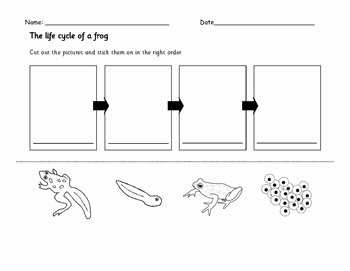 Frogs Life Cycle Worksheet Fresh Frog Life Cycle Cut and Paste by for the Love Of First