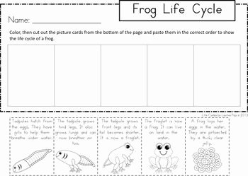 Frogs Life Cycle Worksheet Fresh Pinterest • the World’s Catalog Of Ideas