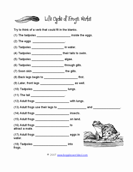Frogs Life Cycle Worksheet Luxury Life Cycle Of Frogs Verbs Worksheet for 3rd 5th Grade