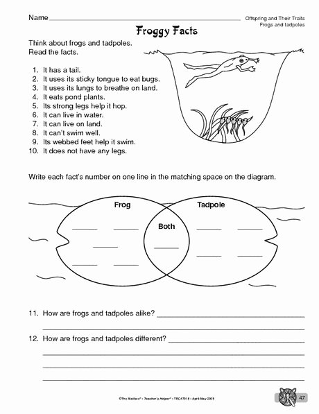 Frogs Life Cycle Worksheet Luxury Science Worksheet Frogs and Tadpoles