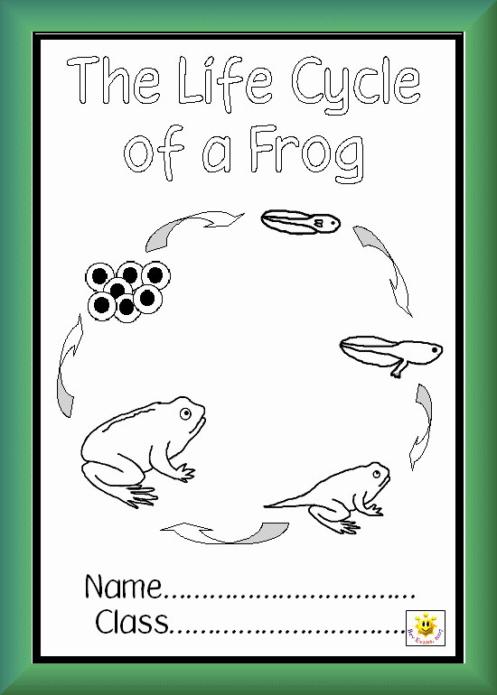 Frogs Life Cycle Worksheet New Printables for Life Cycle Of Frog and butterfly