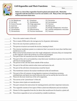 Function Of the organelles Worksheet Elegant Cell organelles Matching Worksheet by Amy Brown Science