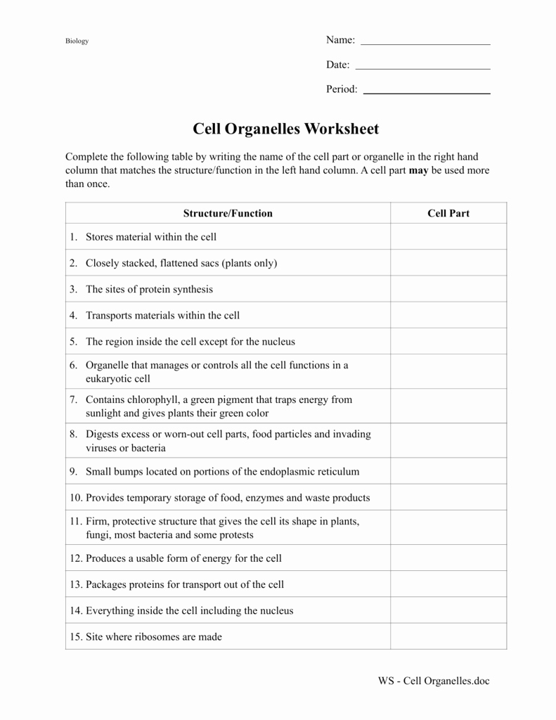 Function Of the organelles Worksheet Fresh Cell organelles Worksheet 2