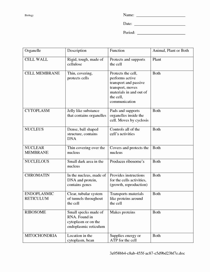 Function Of the organelles Worksheet Fresh Worksheet Functions and Name Of Plant Cells
