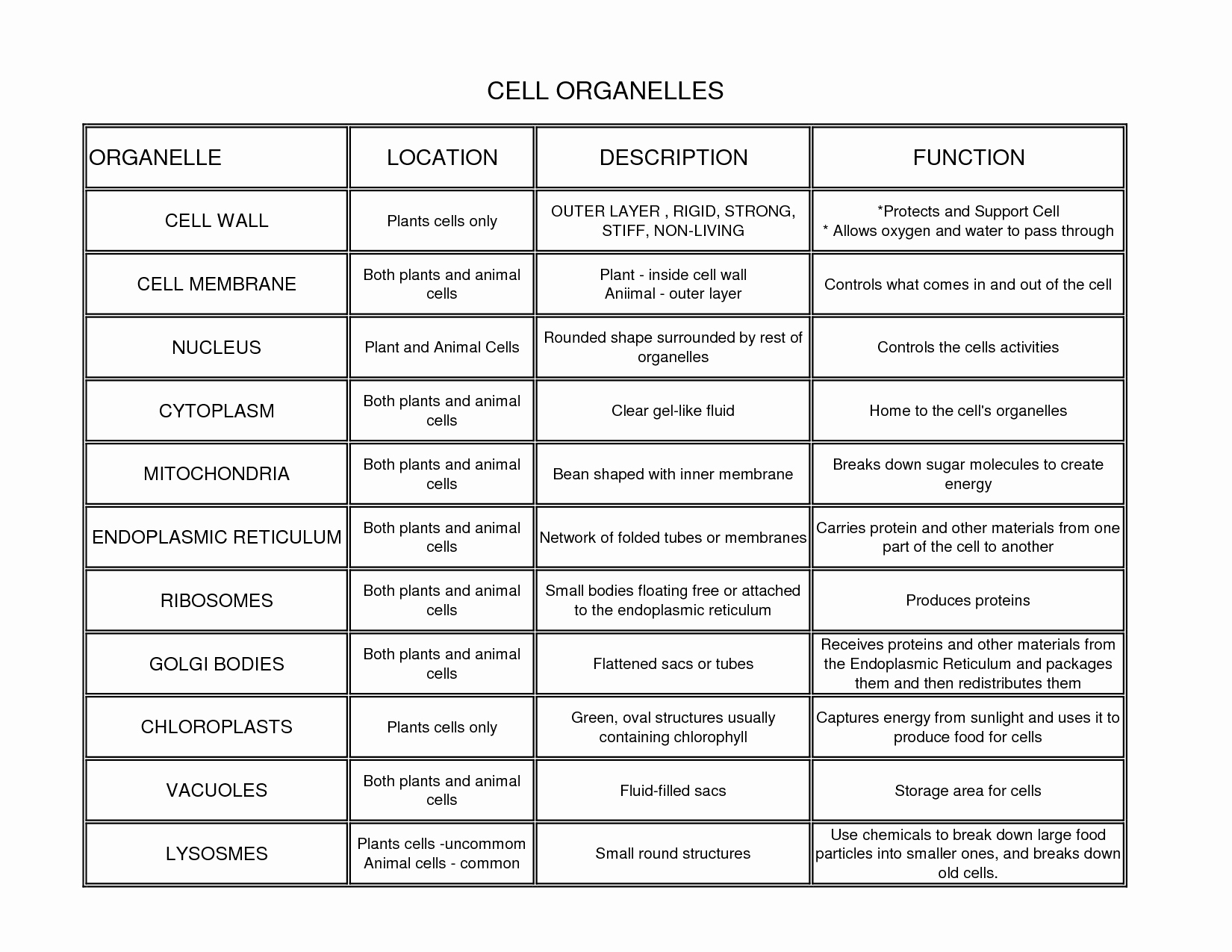 Function Of the organelles Worksheet Inspirational Biology 1 2 Final Exam Cheat Sheet by El Go650