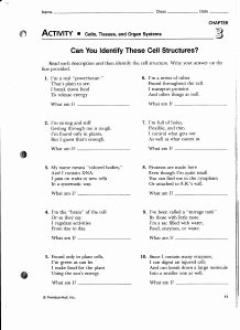 Function Of the organelles Worksheet New Week 12 Cell Booklet