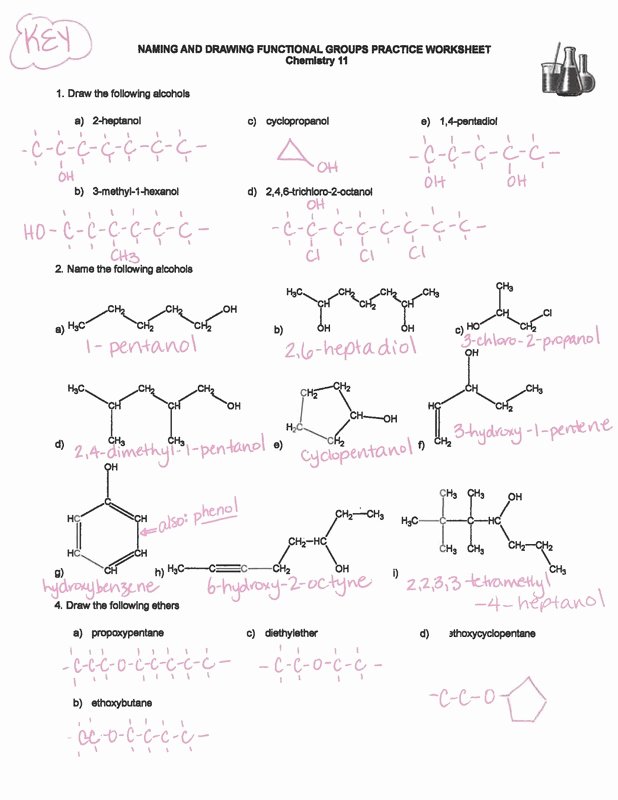 50 Functional Group Practice Worksheet