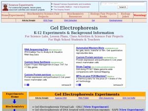 Gel Electrophoresis Worksheet Answers Unique Gel Electrophoresis Lesson Plan for 9th 12th Grade