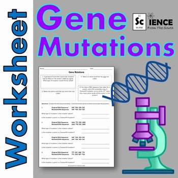 Gene and Chromosome Mutation Worksheet Awesome Gene Mutations Worksheet for Review or assessment by