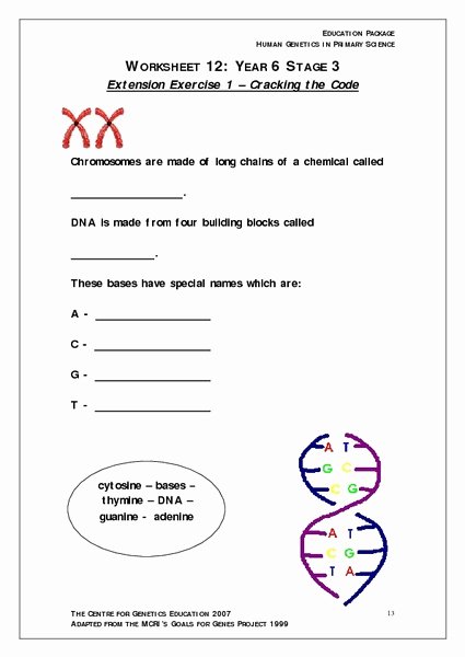 Gene and Chromosome Mutation Worksheet Elegant Chromosomes and Dna Worksheet for 6th 7th Grade