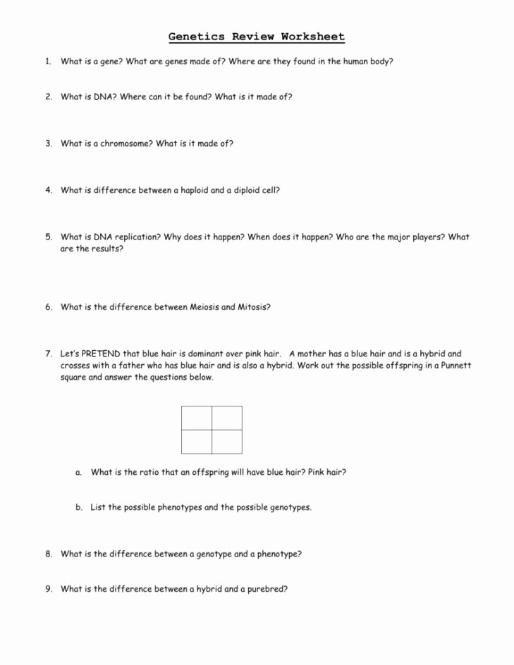 Gene and Chromosome Mutation Worksheet Inspirational Gene Mutations Worksheet