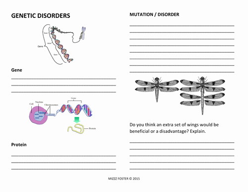 Gene and Chromosome Mutation Worksheet Inspirational Genetic Disorders Mistakes In the Dna Code Dna Mutations