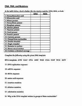 Gene and Chromosome Mutation Worksheet New Dna Rna and Mutations Worksheet by Alyson Nelson